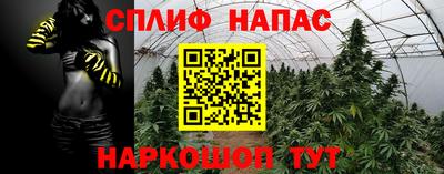 каннабис Будённовск