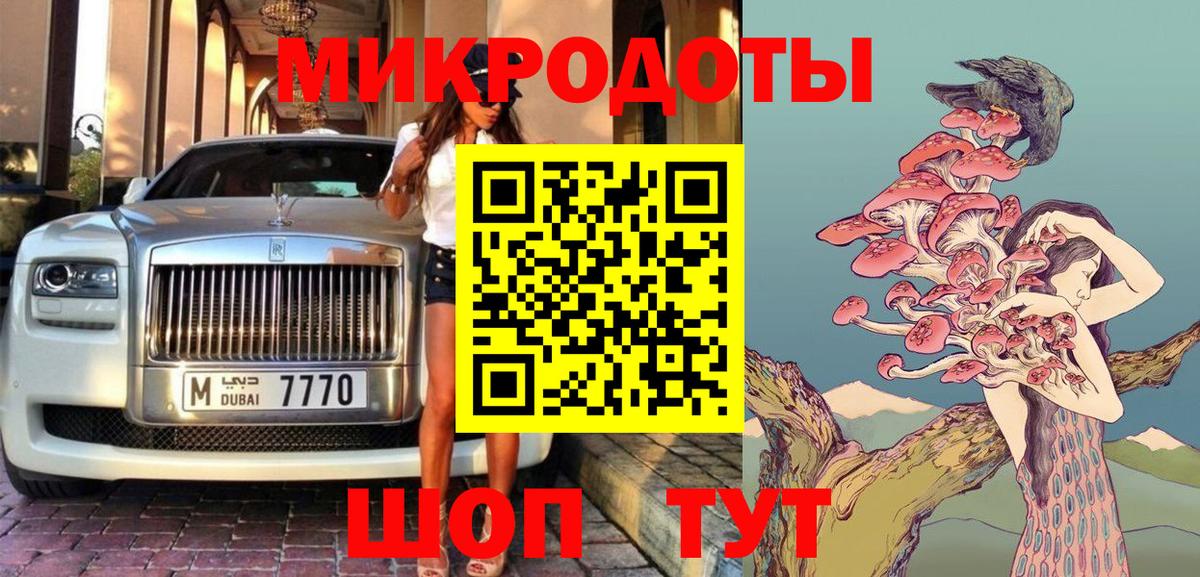 Энгельс  Псилоцибиновые грибы Psilocybine cubensis  Вход с VPN 