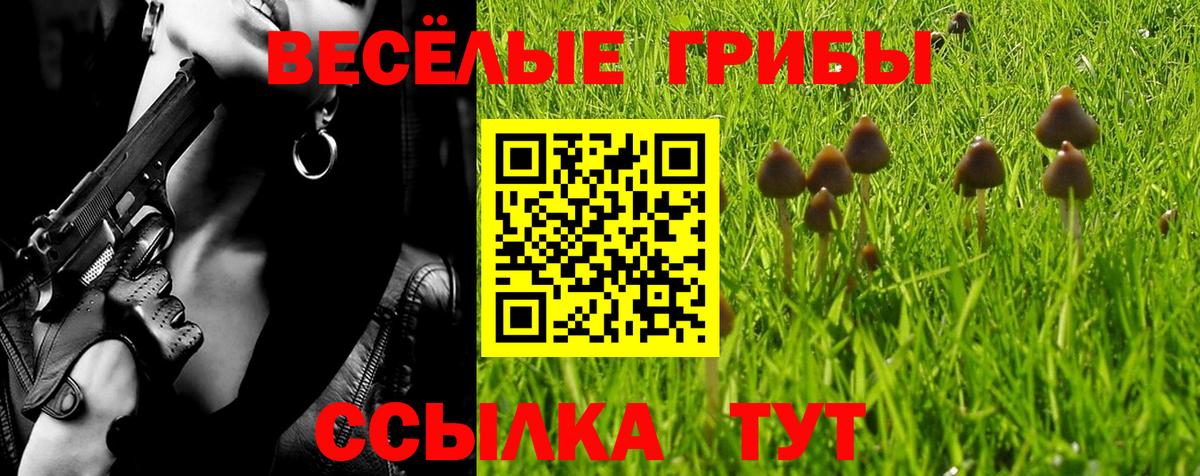 Галлюциногенные грибы MAGIC MUSHROOMS Энгельс